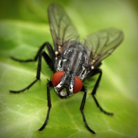 /album/www-glezpazmultiservi-es/photolia-a01-jpg/