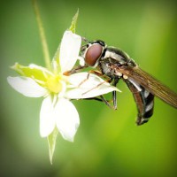 /album/www-glezpazmultiservi-es/photolia-a02-jpg/