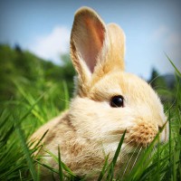 /album/www-glezpazmultiservi-es/photolia-a03-jpg/