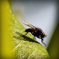 /album/www-glezpazmultiservi-es/photolia-a04-jpg/