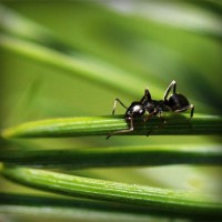 /album/www-glezpazmultiservi-es/photolia-a05-jpg/