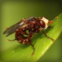 /album/www-glezpazmultiservi-es/photolia-a06-jpg/