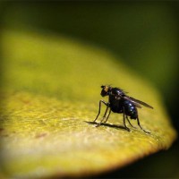 /album/www-glezpazmultiservi-es/photolia-a07-jpg/