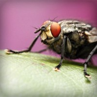 /album/www-glezpazmultiservi-es/photolia-a08-jpg/